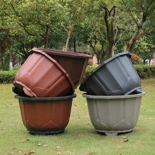 ���S�羳���մɴ����ش�̖�Ӻ����N������÷���û��軨���̖