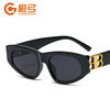 Fashionable brand retro trend sunglasses, European style