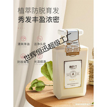 雅斯汀洗发水防脱育发男女芙緹生姜洗发露洗头膏