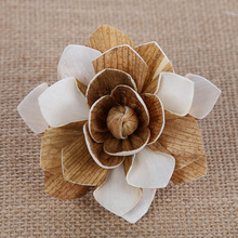 �S�����l��޹����޹ͨ�ݻ���޹�����޹�ɻ��ٗlͨ�ݻ����滨