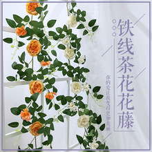 ����ֲ���F���軨��bٻ��҃ȵ��ֲ��Fˇ�ܵ��bٻ�����