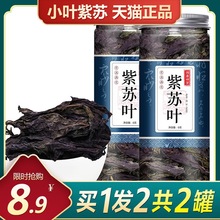紫苏叶新鲜食用苏叶材茶粉商用泡澡鲜野香料草叶子干泡水湖南