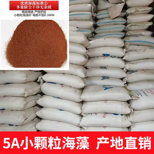 1000g Seaweed Granules Natural Facial Mask Skin Care Product Raw Material Small Granules Direct Sales from the Source Oil Control