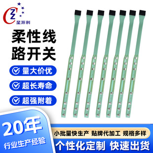 Flexible Line Membrane Switch Custom Screen Printing Pet Silver Paste Control Panel with Pot Medical Testing Equipment