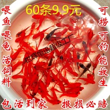 �ݽ�����С�~��ˮ���B���ͻ����ˮ�~�^�p�~����С���~���~��һ��