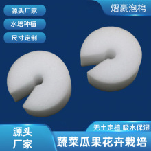 无土栽培定植海棉工字口水培育苗海绵蔬菜聚氨酯海绵带圆孔