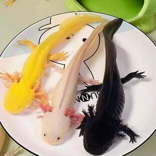 ���ǿ����~ϔ��ԁ�ˮ���B�ͻ��^�p�~С���~���~�B���������~��ˮ