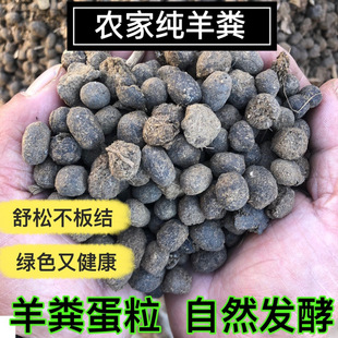 Sheep Manure Fermentation Farmyard Manure Sheep Manure Orchid Vegetables Dendrobium Special Fertilizer Farmyard Sheep Manure