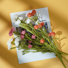 �¿�����Nޱ���zӰ���߻�c�Nޱ���͏d�����Ҿ��b�Ʒ���滨��