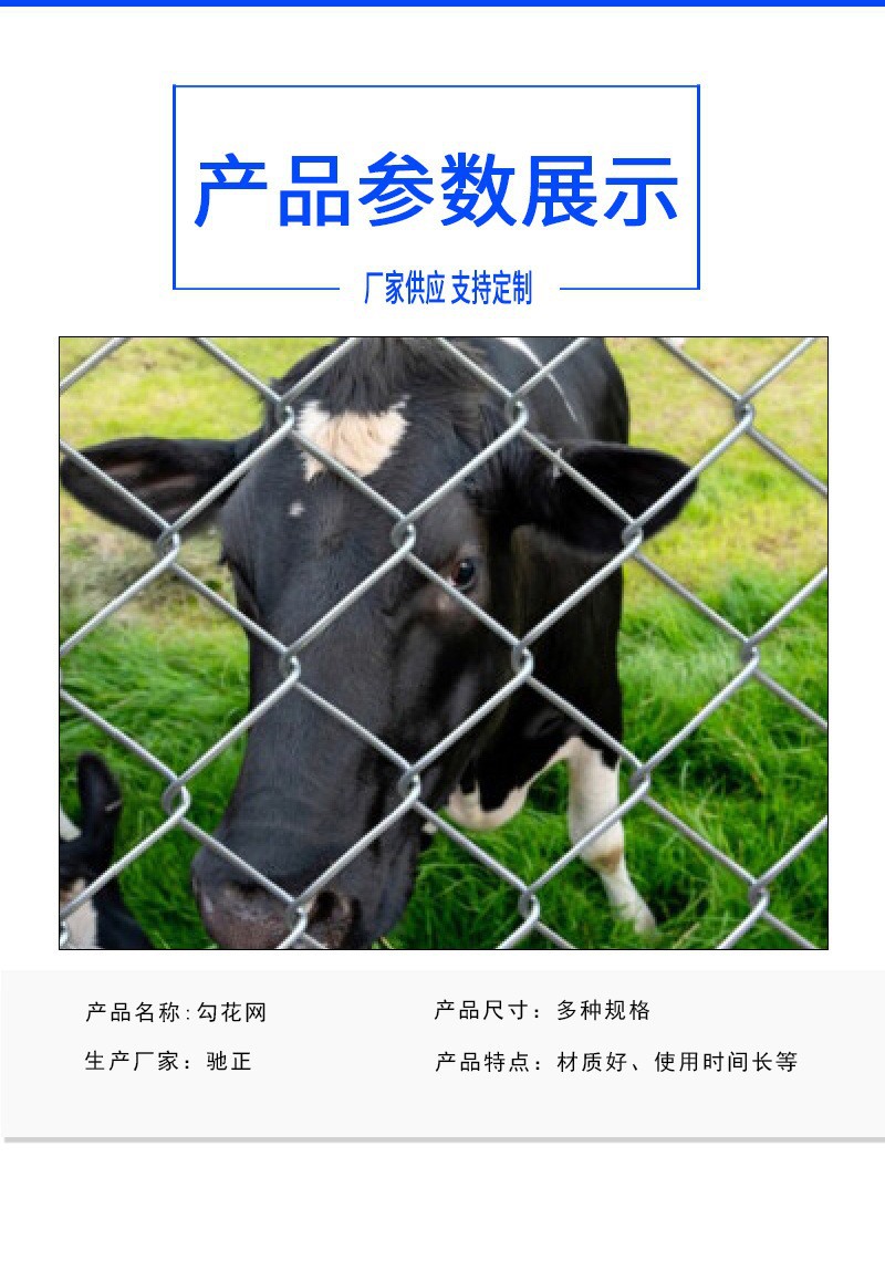 O1CN016Dhvbu21O97wSwnfP_!!2218