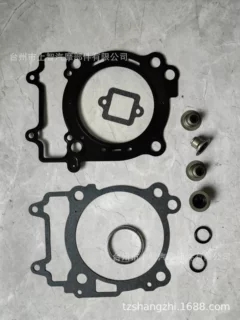 适用于北极星 Polaris RZR 570 2013-16 CYLINDER GASKET 中修包