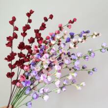 4���֦���_�m��c�Y�������b������û�c�û����滨����ٻ�