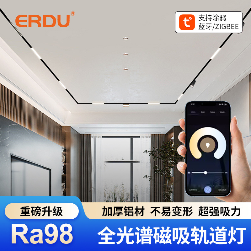 嵌入式无主灯家用智能磁吸轨道灯暗装封板款格栅泛光灯明装轨道灯