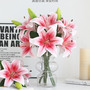 ����3�^С��֦2��1�ٰٺ� �[�������͏dܛ�b�zƬ3D��ӡ�ߙn���滨