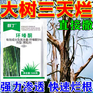 �趡�h�ͪ���ݠ������w�����������ľ�ó��݄��rș�S�ҹ���