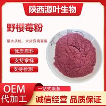 野樱莓粉 不老莓粉  压片糖果 固体饮料原料 样品免费 黑果腺肋花
