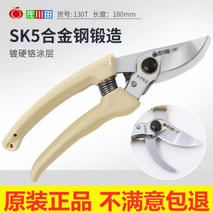 ���l��@����֦��������֦��@ˇ�ޘ��130�͹�������@����