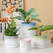 兰花蝴蝶兰渐变色喷彩陶瓷花盆北欧风格带托盘虎皮兰简约圆形盆