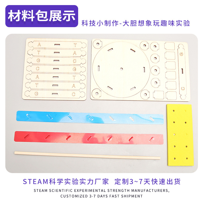 Ciencia y Tecnología pequeña producción DIY humano gen ADN doble hélice modelo biológico ciencia experimental equipo popular ciencia material didáctico