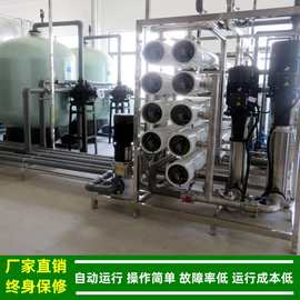 10t/h二级RO反渗透水处理器_饮料生产用反渗透纯净水设备绿健供应