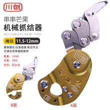 ��������â���Cеץ�Y�½���ץ�K���ʘ�߿����I������{������݆