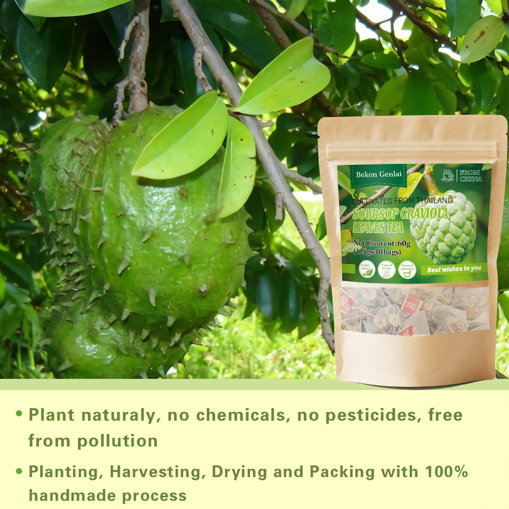 Soursop Graviola Leaves Tea 60g Dried Annona Muricata Leaf Herbal Infusion for Daily Brewing quality and texture