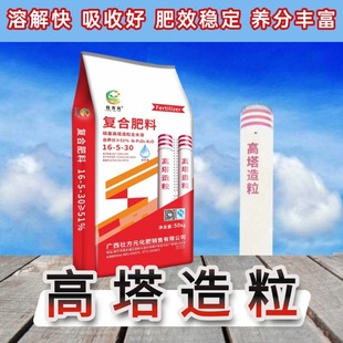 ������͏ͺϷ�51����������������16-5-30�V�����ϏS�ҬF؛