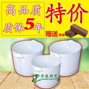 ��ֲ�仨����ֲ���o�����Ӻ�Nֲ��������I�B��ֲ����