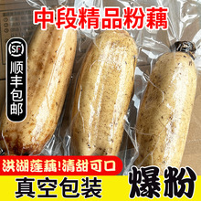 �����ź�خaɏź���r�Ҝ������ſ׺����t�F����հ��b��Ş��