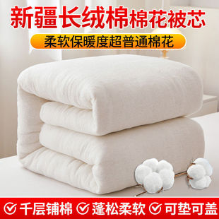 Xinjiang Cotton Quilt Core Cotton Quilt Cotton Batting Student Dormitory Bed Cotton Mattress Pad Mattress Spring Autumn Winter Free Shipping Wholesale