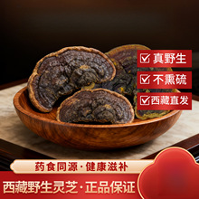 ϳ׿ֱlϵ`֥Ұ`֥Ƭ8Ұ`֥