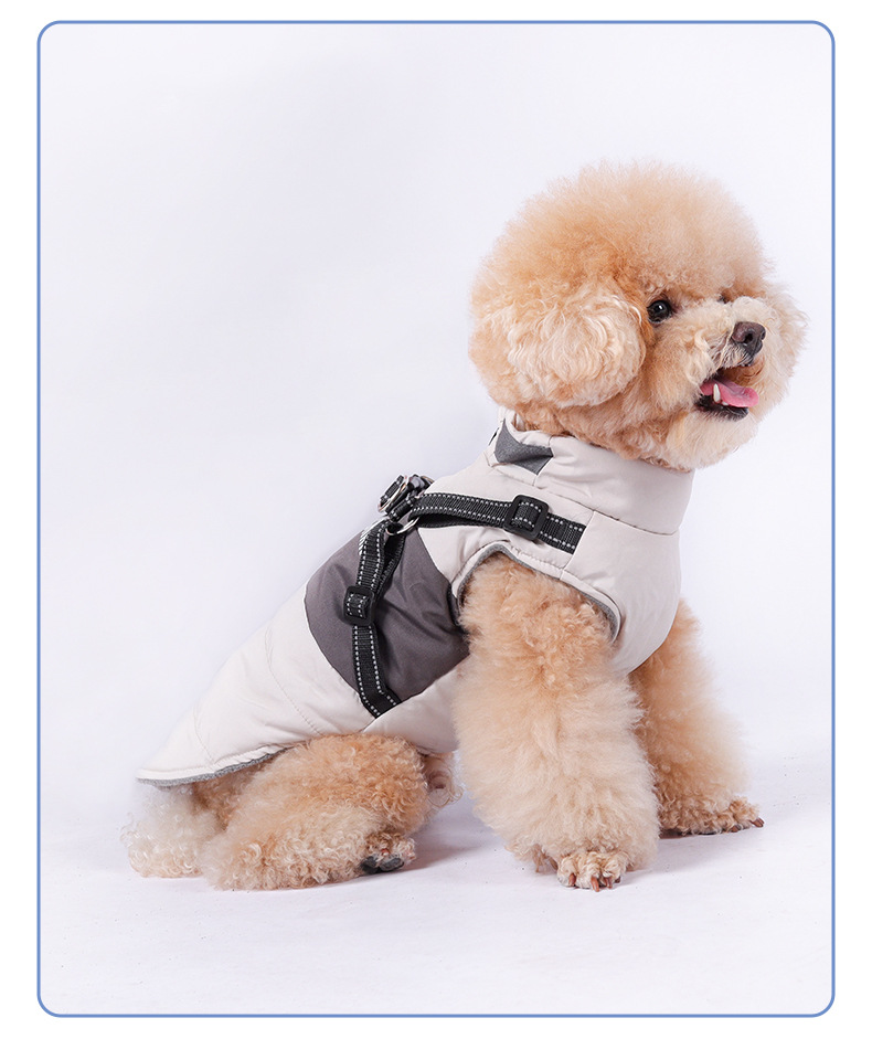 Winter New Dog Leash, Pet Cotton Coat, Thickened Waterproof Windproof Jacket With Pockets For Small Dogs_voghion.com