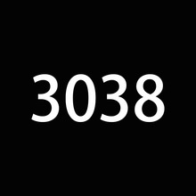 3038