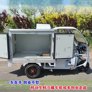 冷藏车电动三轮冷藏车/同城短途送货雪糕冰棍冷链冷冻食品运输车