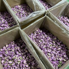 ダマスカス薔薇凍結乾燥技術