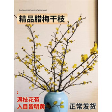 ˮ���֦�D÷�r�л�����Ϟ÷���r���t÷�r֦ˮ�Bֲ��ɻ���������