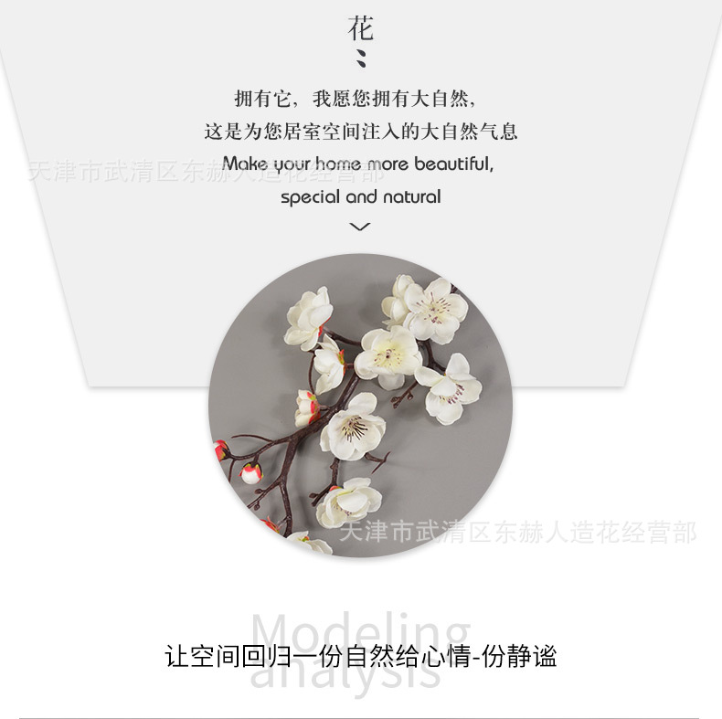 详情_14.jpg