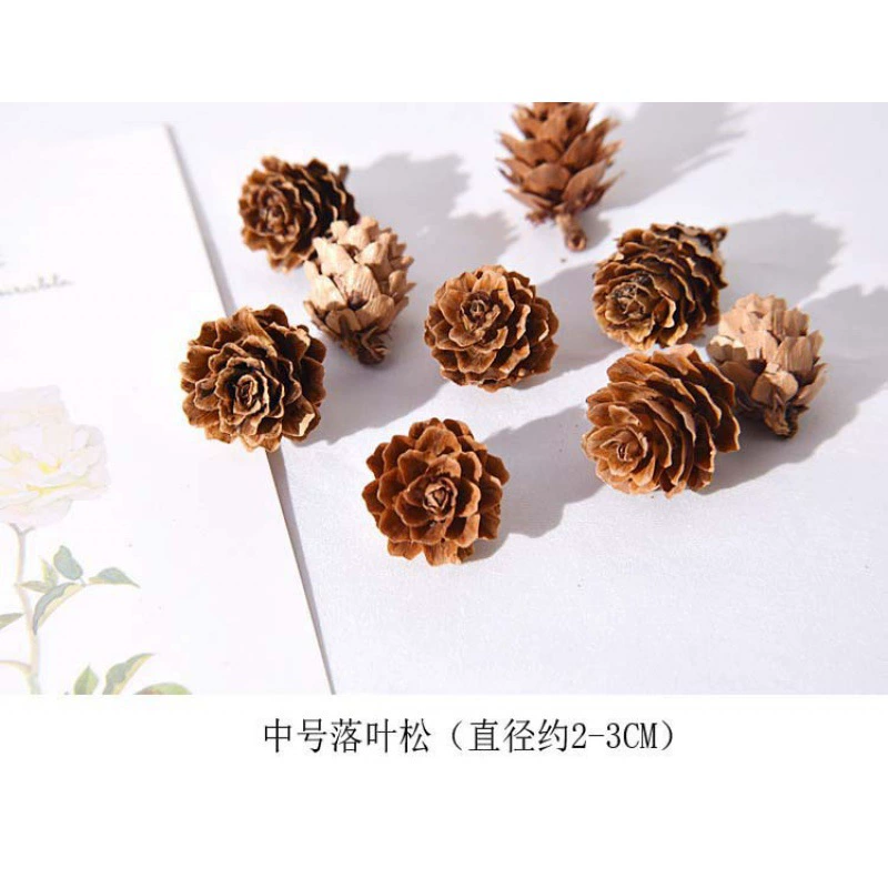 Organic sample, photo frame handmade, Christmas materials set, DIY