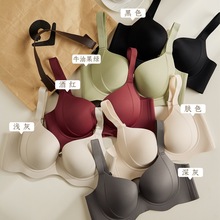 ����ֱ���羳���̶�����Խ��̩��Ůʿ�޺۱������ʾ�£����������