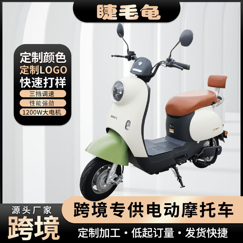 Cross-Border Scooter New Model Smart Electric Vehicle 48V Electric Motorcycle Adult Mobility Scooter Long-Distance King E-B
