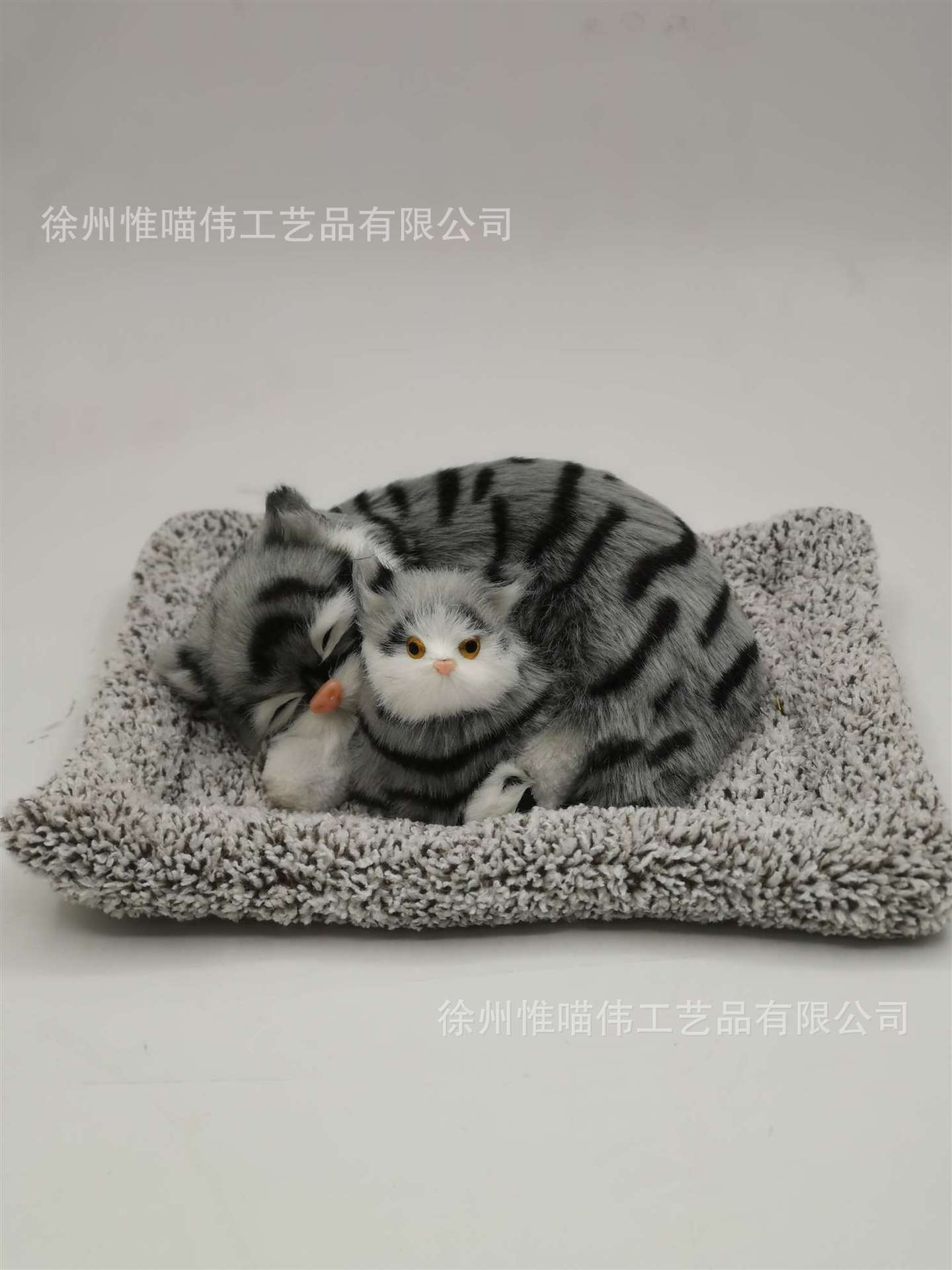 Madre e hijo castor verde gatos cuclillas + cabello gris