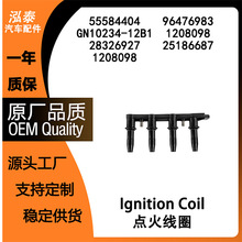 ����ŷ��ASTRA�����Ȧ55584404 GN10234-12B1 28326927 1208098