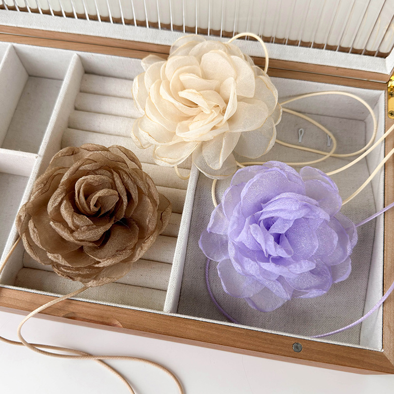 2024_02_26_17_17_IMG_9696