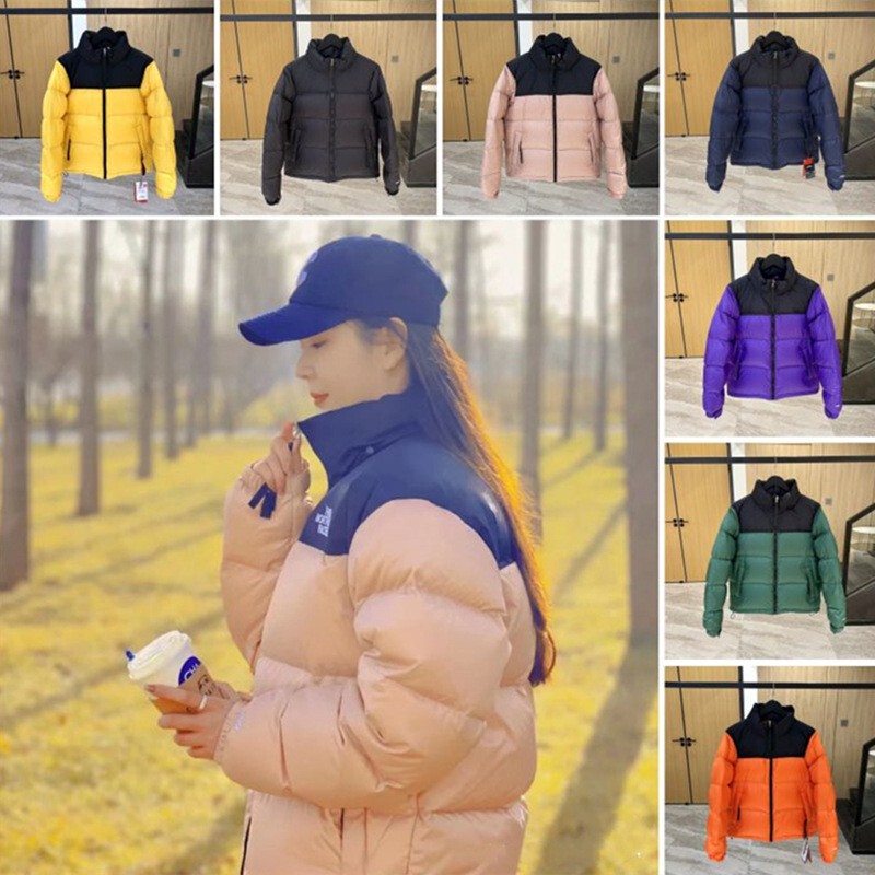 Cross-Border Export Wholesale Tnf1996 down Jacket American Version 700 Embroider 350g Down-Filled Men and Women Couple Supply Cross-Border Export Wholesale Tnf1996 down Jacket American Version 700 Embroider 350g Down-Filled Men and Women Couple Supply