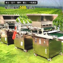 定制全自动穴盘针吸式播种机育苗流水线大棚花卉蔬菜种子播种器