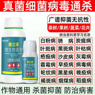 ������΢�������ͨ�Ú���ș��������������S��ù���ϰ��~���r��