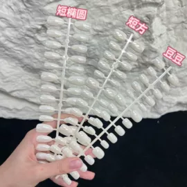 甲片/穿戴甲;美甲贴