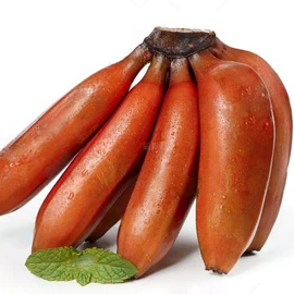 其他水果;块茎类;苹果