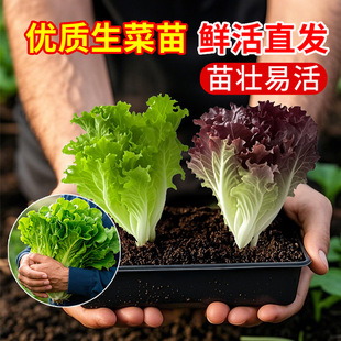 �������������玧��������_�Rˮ�ஔ���߮a�̨�Nֲ�߲�ֲ������