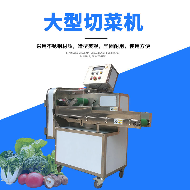 九盈机械大型切菜机 预制菜加工大白菜芥菜切丝机 蒜苔豆角切丁机